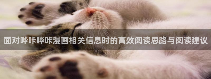 免费漫画网站:面对哔咔哔咔漫画相关信息时的高效阅读思路与阅读建议