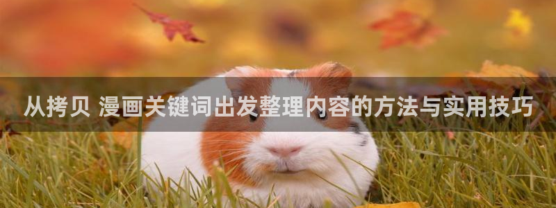 漫画免费阅读:从拷贝 漫画关键词出发整理内容的方法与实用技巧